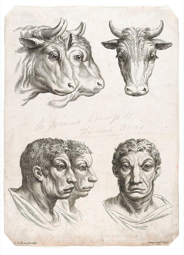 11-charles-le-brun-physiognomy-humans-evolved.jpg