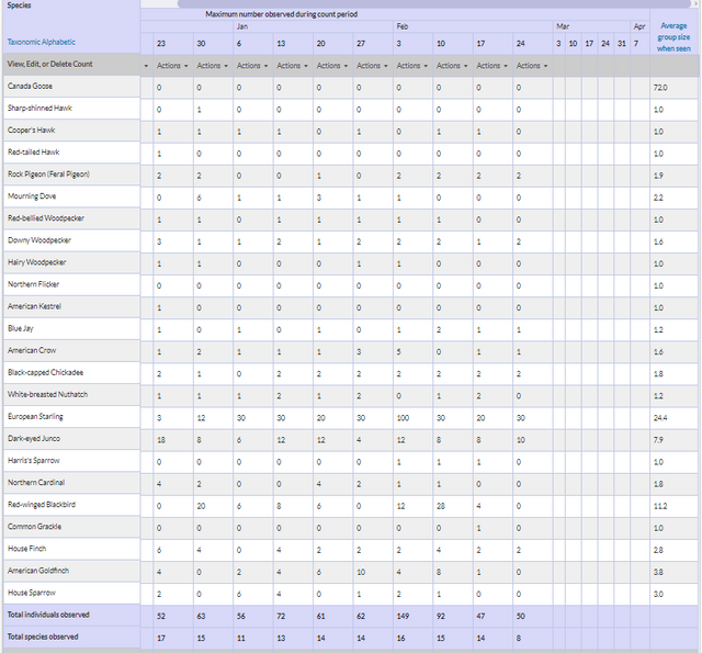 project feederwatch counts.png