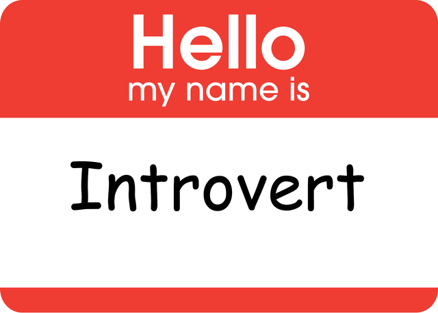 my name is introvert.png
