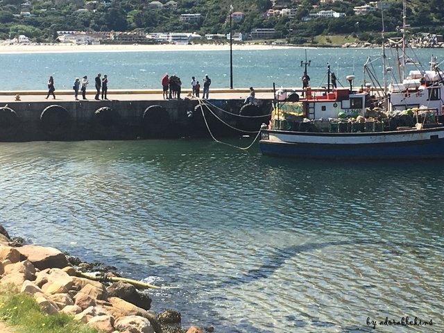 Houtbay Docks.JPG