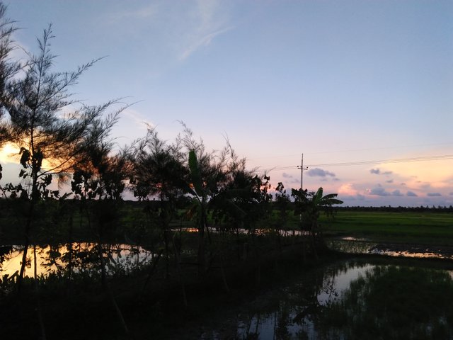 IMG20170824182013.jpg