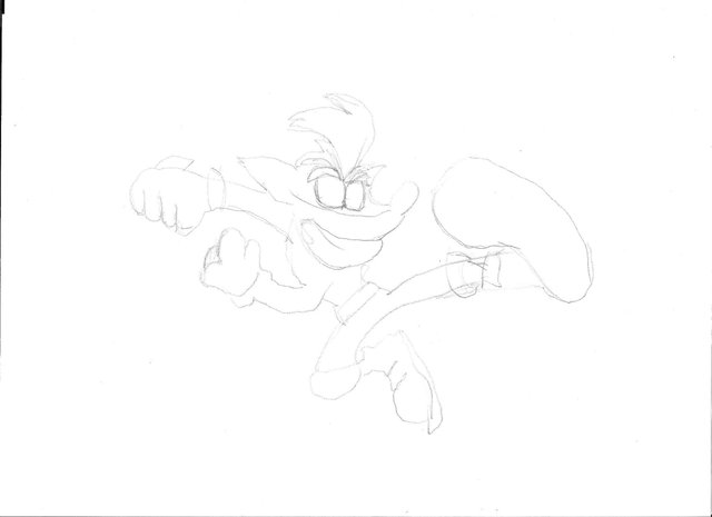 bandicoot2.jpg