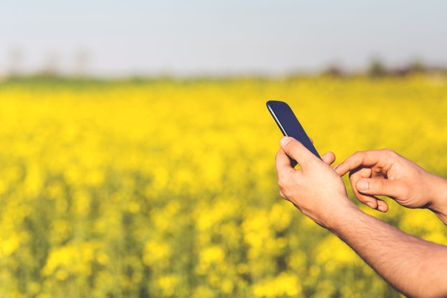 man-field-smartphone-yellow.jpg