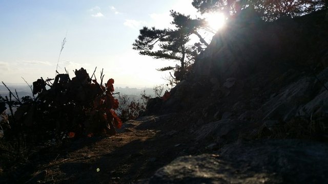 20180203_165003.jpg