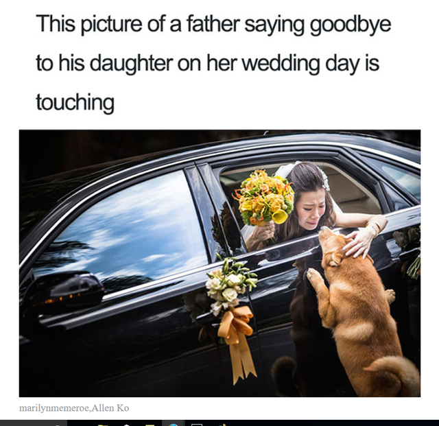WEDDING GOOD BYE DOG.png