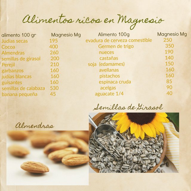 Alimentos ricos en Magnesio 1.jpg