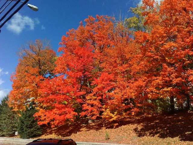 Autumn in New England