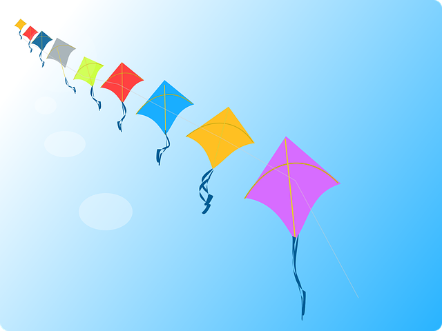 kites-152760__480.png