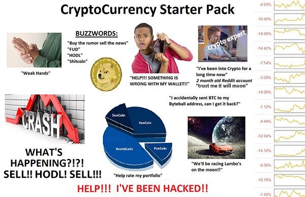 crypto_starterIGG.jpg