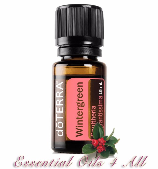 doterra wintergreen.jpg