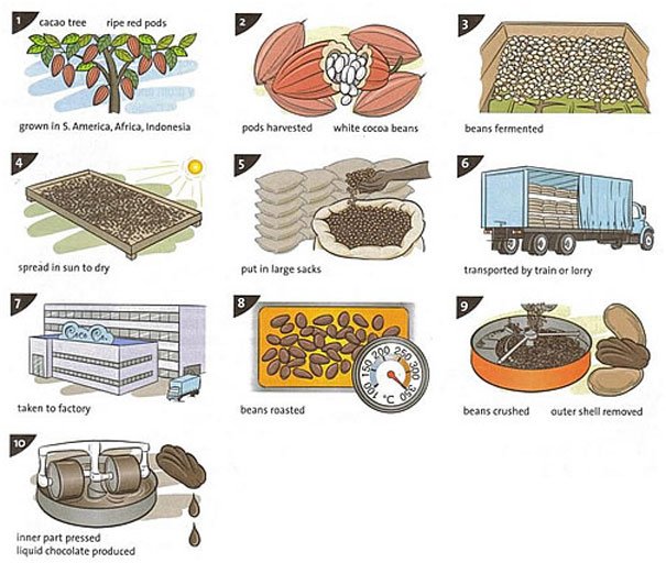 ielts-process-chocolate.jpg