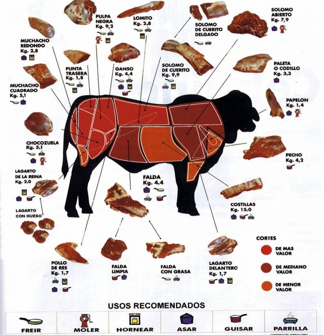 CARNE-INFOGRAFÍA-e1505766662967.jpg