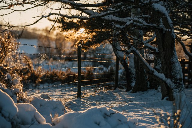 Winter snowfall in Worcestershire-12.jpg