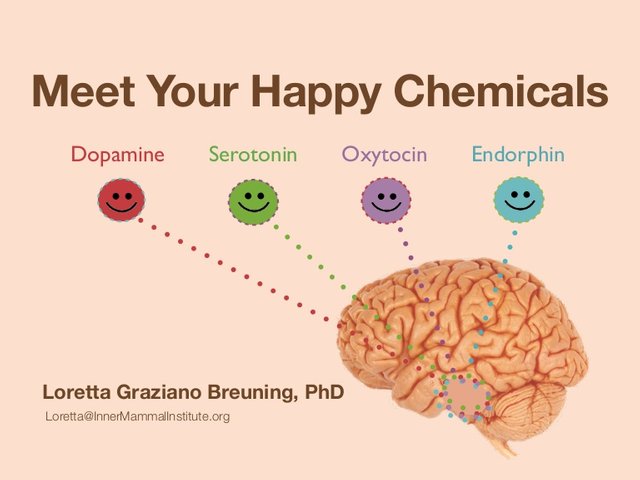 happy chemicals.jpg