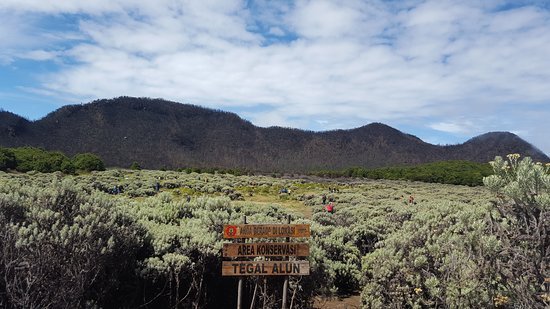 mount-papandayan.jpg