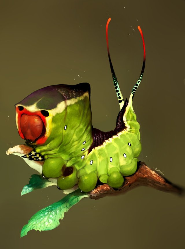 rummy-r-puss-moth-caterpillar.jpg