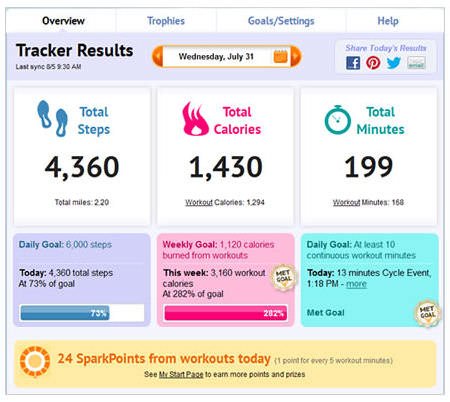 sparkactivitytrackerdashboard.jpg