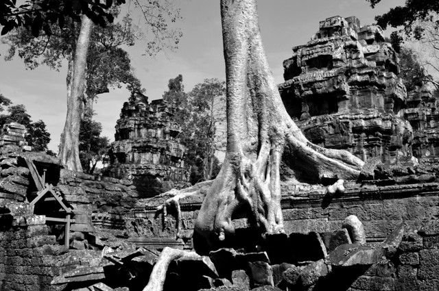 Cambodge Siem Reap 039.JPG