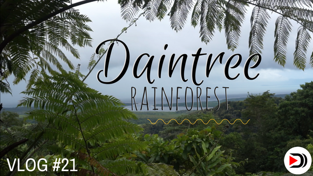 #2 Daintree Rainforest