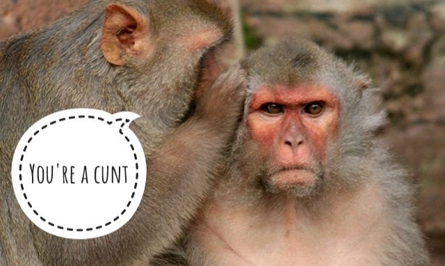 C3SVah5 - Imgur-01.jpeg