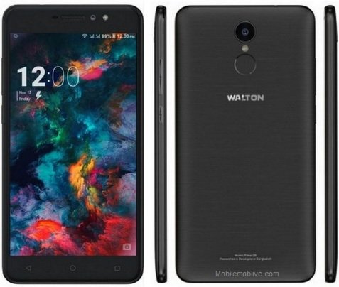 Walton  Primo G8.jpg