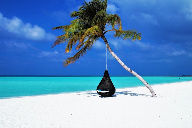 beach hammock maldives.jpeg