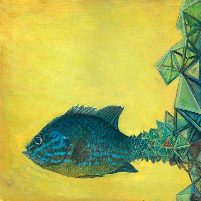 02-sunfish-vincentfink.jpg