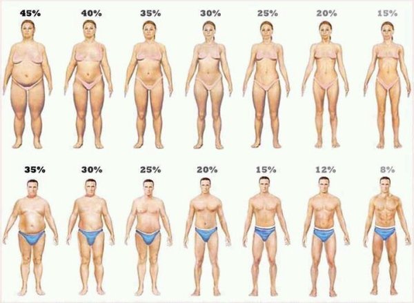 cartoon-women-and-men-visual-body-fat.jpg