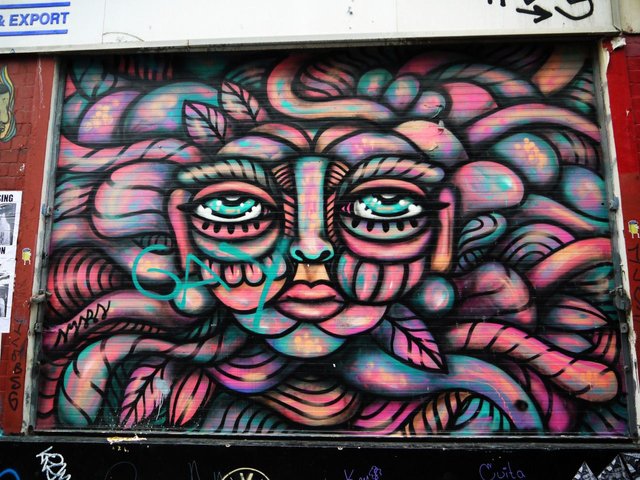 73218422039 - street art brick lane like medusa.jpg