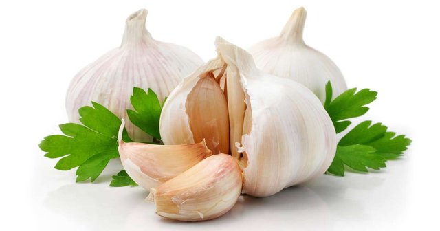 garlic1.jpg