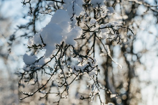 Winter snowfall in Worcestershire-4.jpg