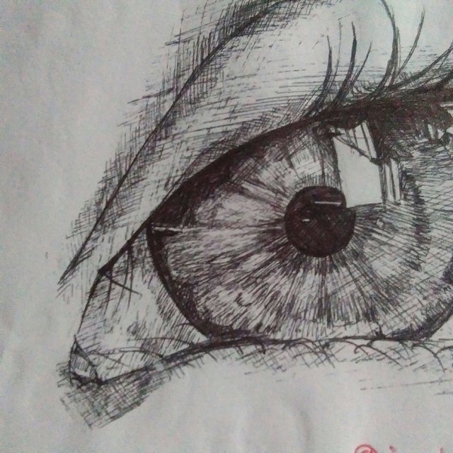 Hermoso dibujo  Portrait drawing, Eye drawing, Drawings