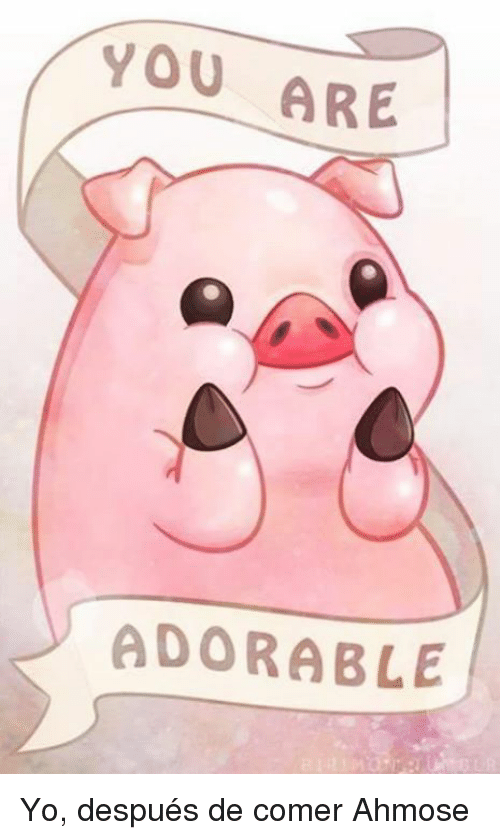 you-are-adorable-yo-después-de-comer-ahmose-6011350.png