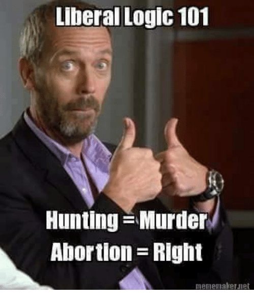 liberal-logic-101-hunting-murder-abortion-right-mememaker-jet-5055126.png