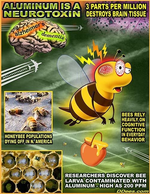Bee copy.jpeg