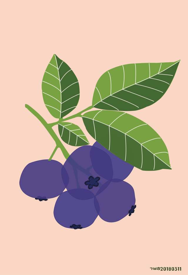 blueberry.png