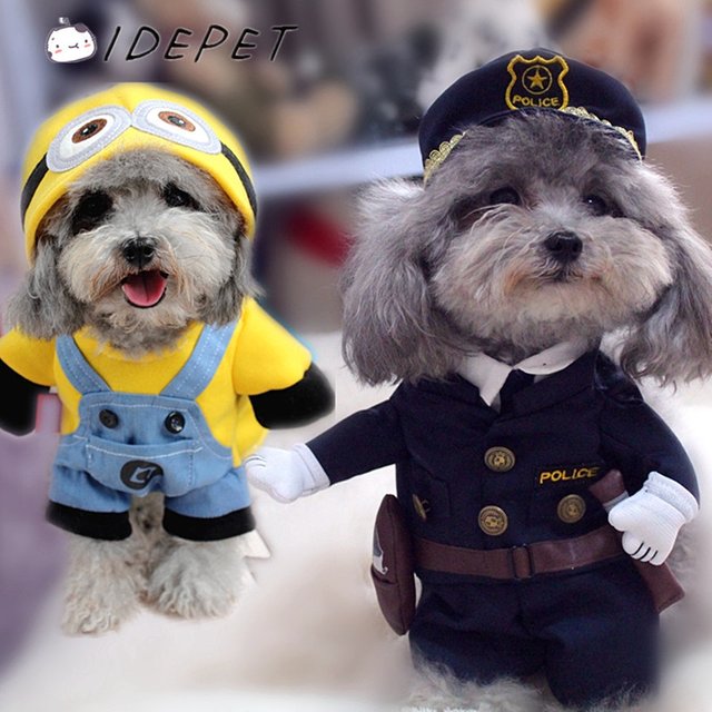 Adorable-Dogs-In-Costumes.jpg