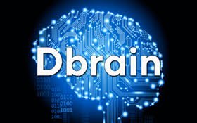 Dbrain 4.jpg