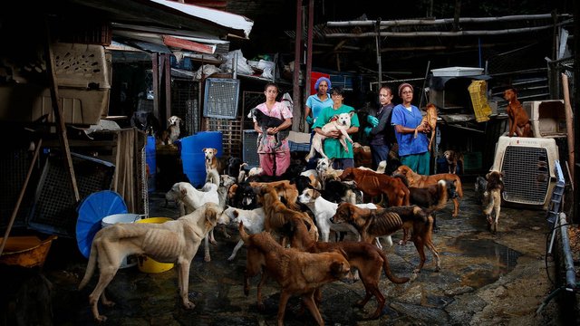 2016-09-07T140641Z_1637901532_S1AETZYCONAA_RTRMADP_3_VENEZUELA-ECONOMY-ANIMALS.jpg