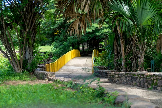 DSC00205edit080717Bridge Going back.JPG