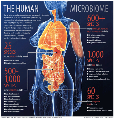 the-microbiome.png