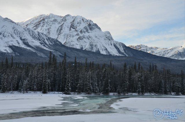 icefield parkway 2.jpg