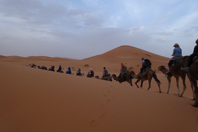 Desert with Camels.JPG