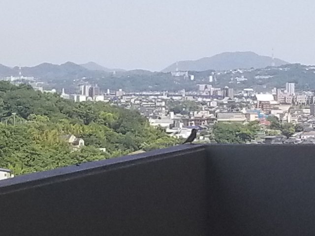 20180521_132932.jpg