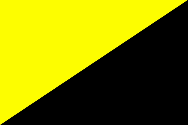 800px-Ancapflag.svg.png