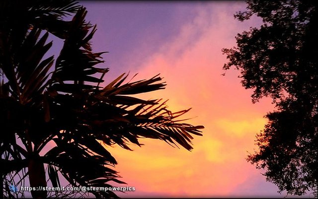 ColorChallenge-Sunset-1.jpg