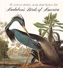 220px-Audubon_Birds_of_America.jpg