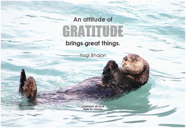 The-Grateful-Otter.jpg