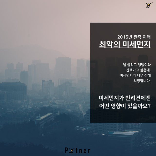 미세먼지2.png