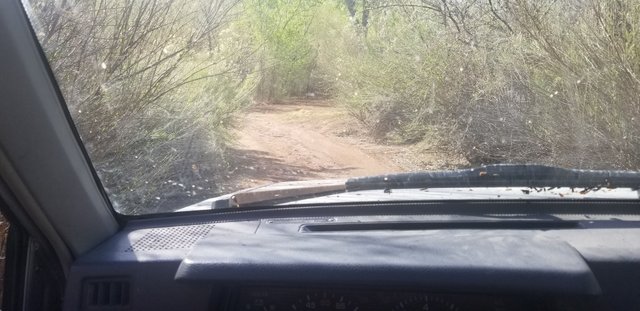 20180409_100601.jpg